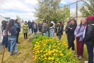 WhatsApp Image 2026-02-12 at 16 WhatsApp Image 2026-02-12 at 16