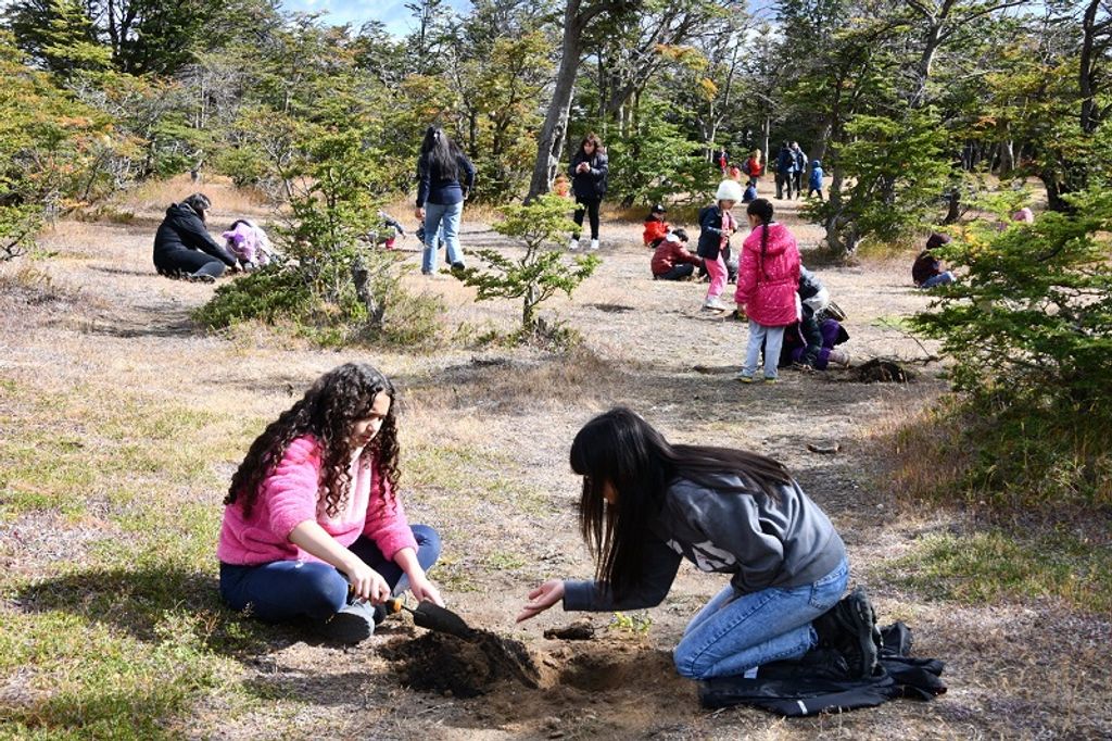 REFORESTACIOìN 1 REFORESTACIOìN 1