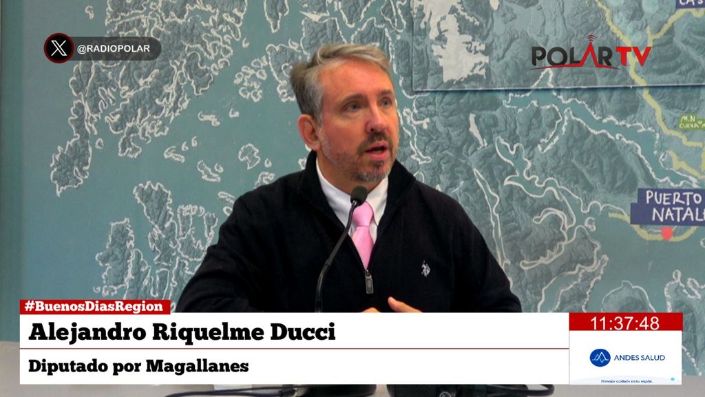 diputadoriquelme