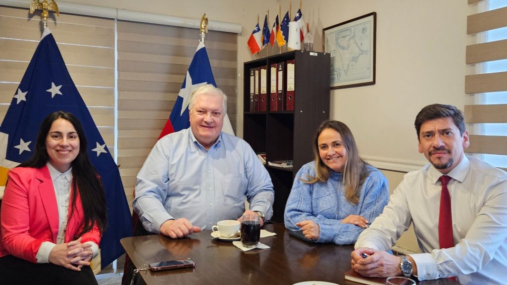 austrochilesenador austrochilesenador