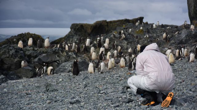 ECA 61-Isla Ardley-CBuvinic-feb2025-DSC_3259 (1)-min ECA 61-Isla Ardley-CBuvinic-feb2025-DSC_3259 (1)-min