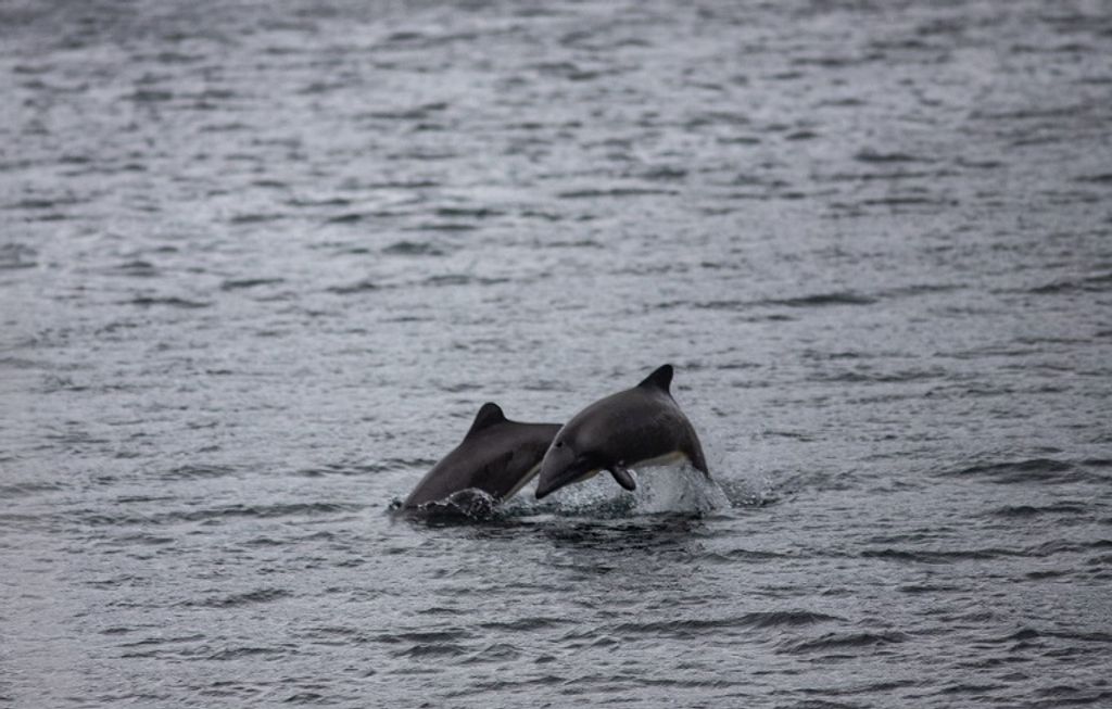 4PNDe5zH3ytd 4PNDe5zH3ytd