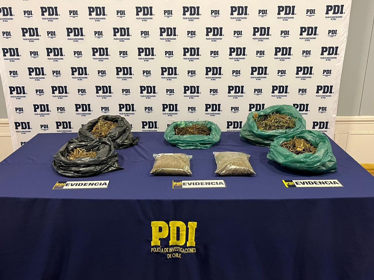 pdimarihuanachabunco pdimarihuanachabunco