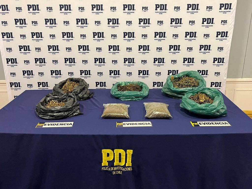 pdimarihuanachabunco