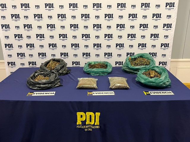 pdimarihuanachabunco pdimarihuanachabunco