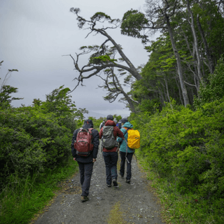 trekkingfroward trekkingfroward