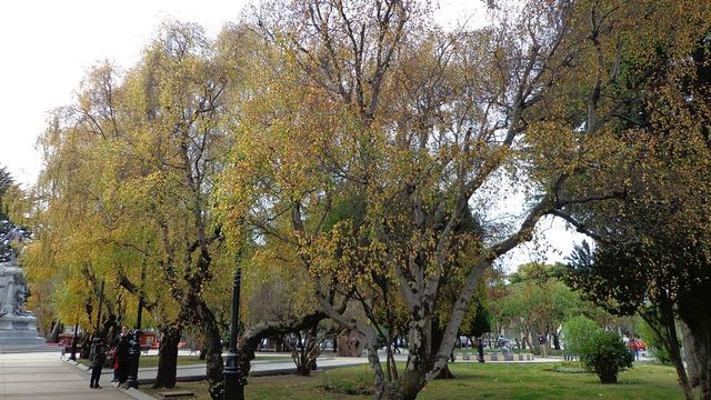 plaza-munoz-gamero plaza-munoz-gamero