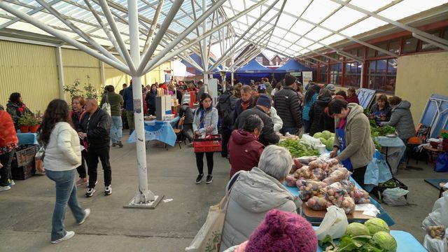 ÚLTIMA FERIA GOURMET DE LA TEMPORADA (6) ÚLTIMA FERIA GOURMET DE LA TEMPORADA (6)