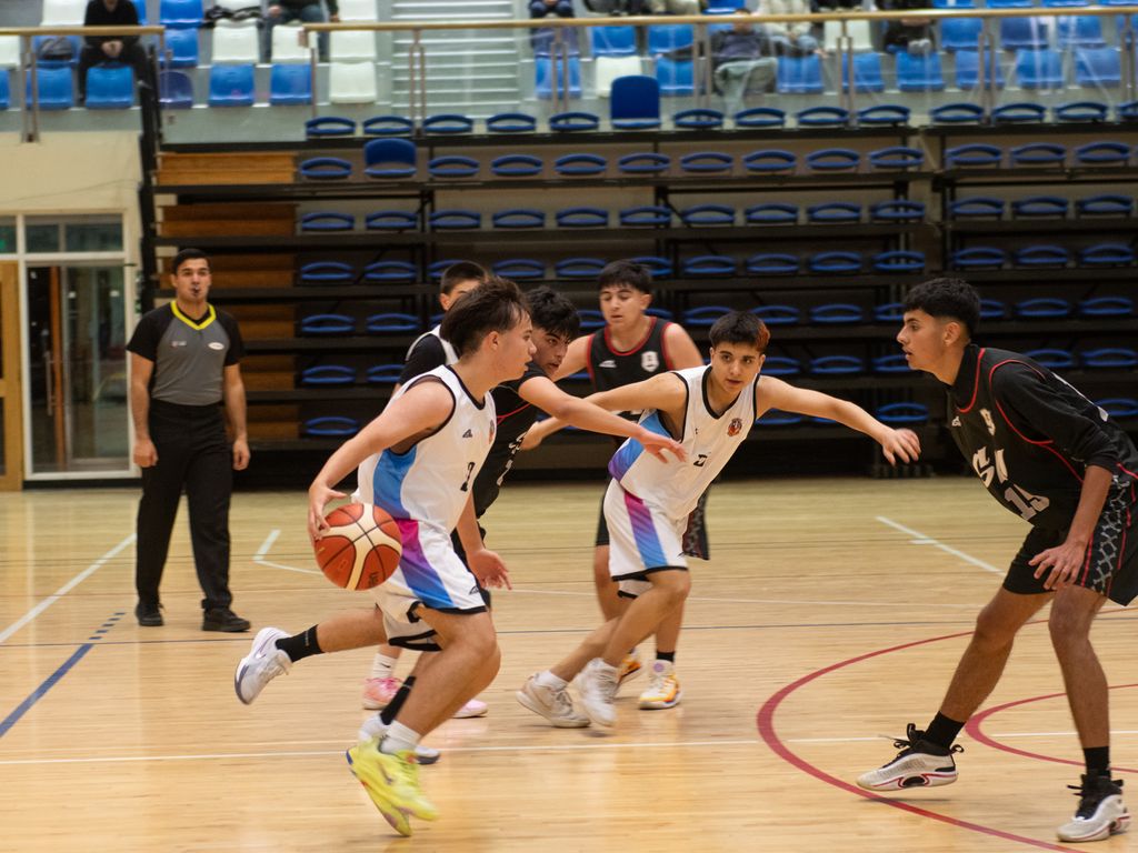 fotos (11) fotos (11)