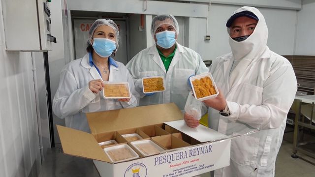 seremieconomiaplanta seremieconomiaplanta