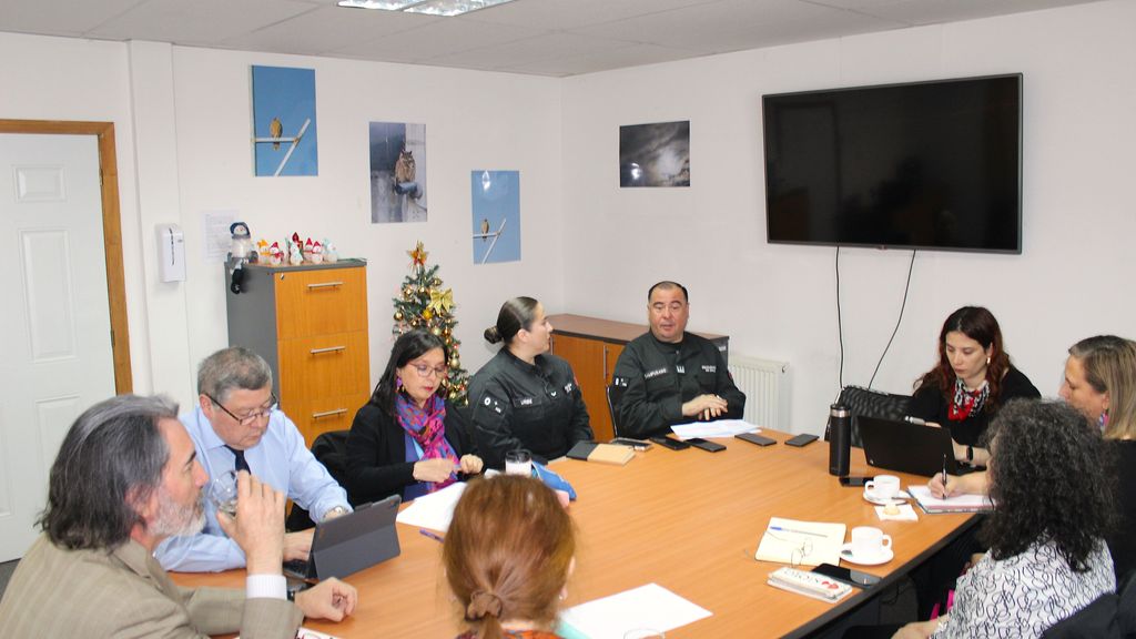 REU JUSTICIA Y PROYECTOS