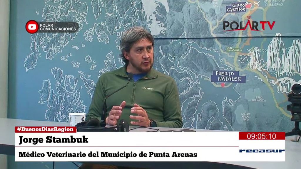 jorgestambuk