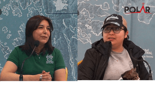 michifestmatinal michifestmatinal