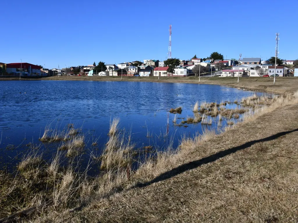 ba344fb9-e728-40fe-937e-a8163767038a-large-standard-q100 ba344fb9-e728-40fe-937e-a8163767038a-large-standard-q100