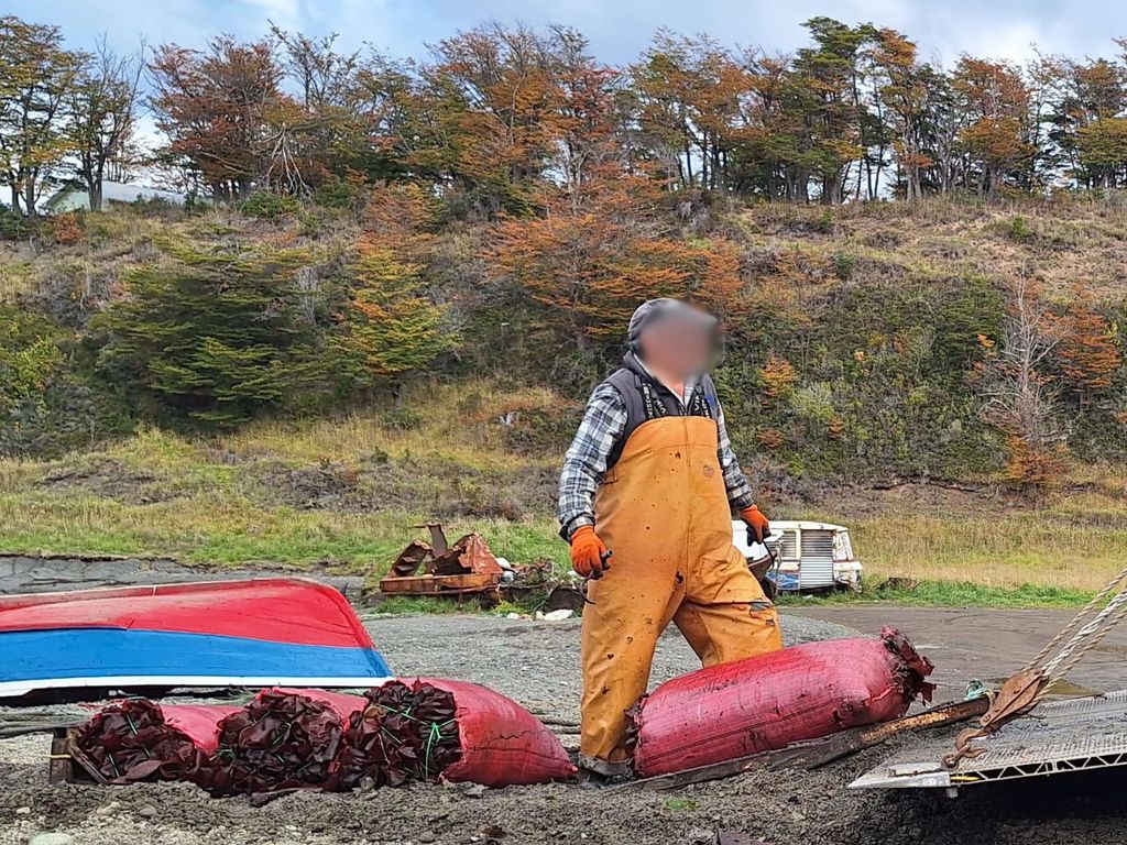 Luga roja 2 Luga roja 2