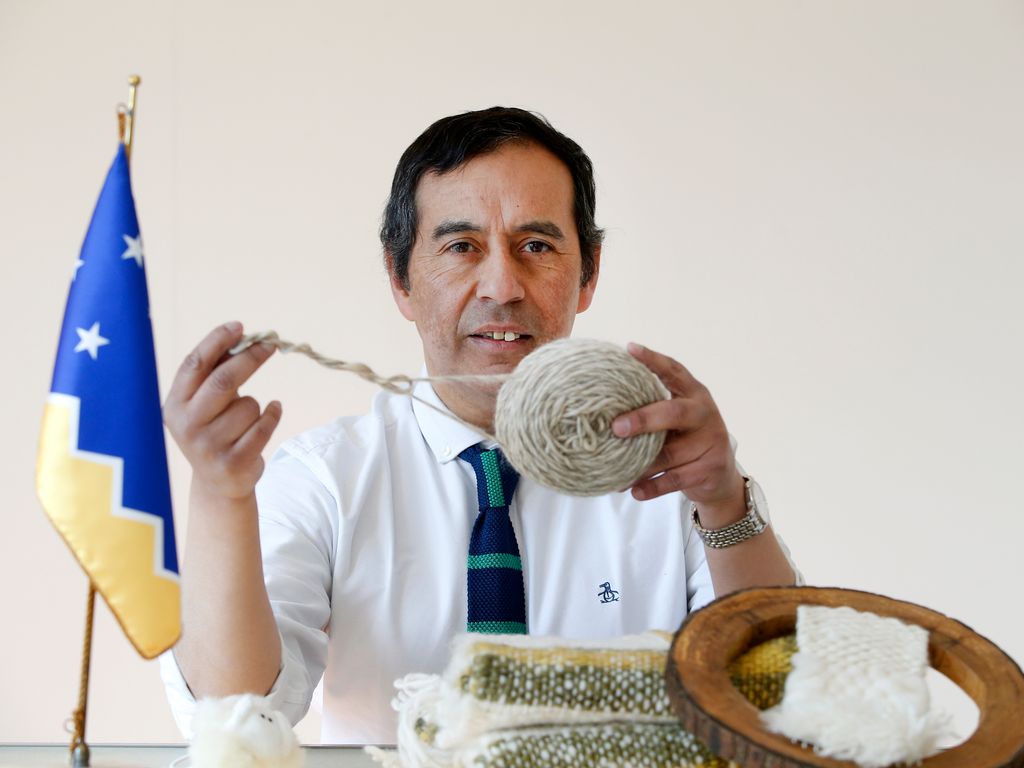 PEPE, lanas ovejas magallanicas 1 PEPE, lanas ovejas magallanicas 1