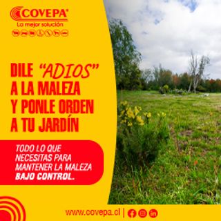 BANNER COVEPA BANNER COVEPA
