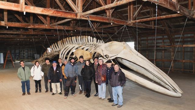 mini-Encuentro de Cultores mini-Encuentro de Cultores