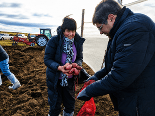 cosecha de papas agricultora y seremi