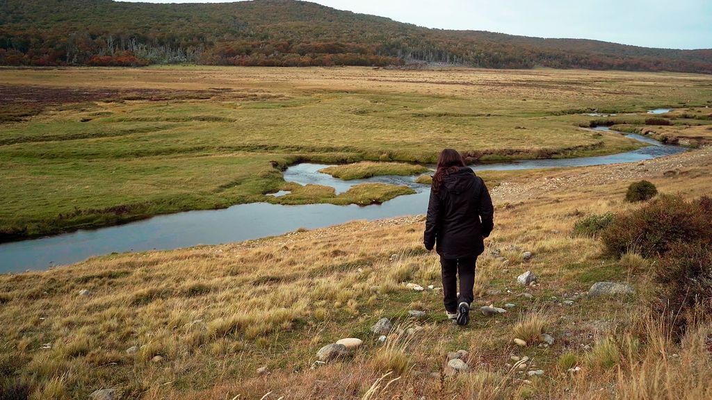 vuelvodondenuncaestuve vuelvodondenuncaestuve
