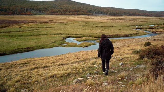 vuelvodondenuncaestuve vuelvodondenuncaestuve