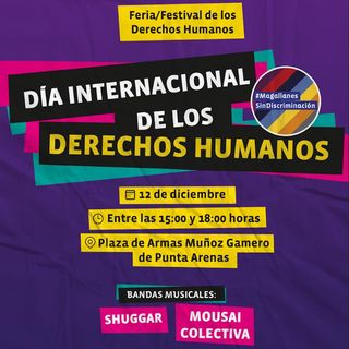 FESTIVAL DÍA INTERNACIONAL DDHH FESTIVAL DÍA INTERNACIONAL DDHH
