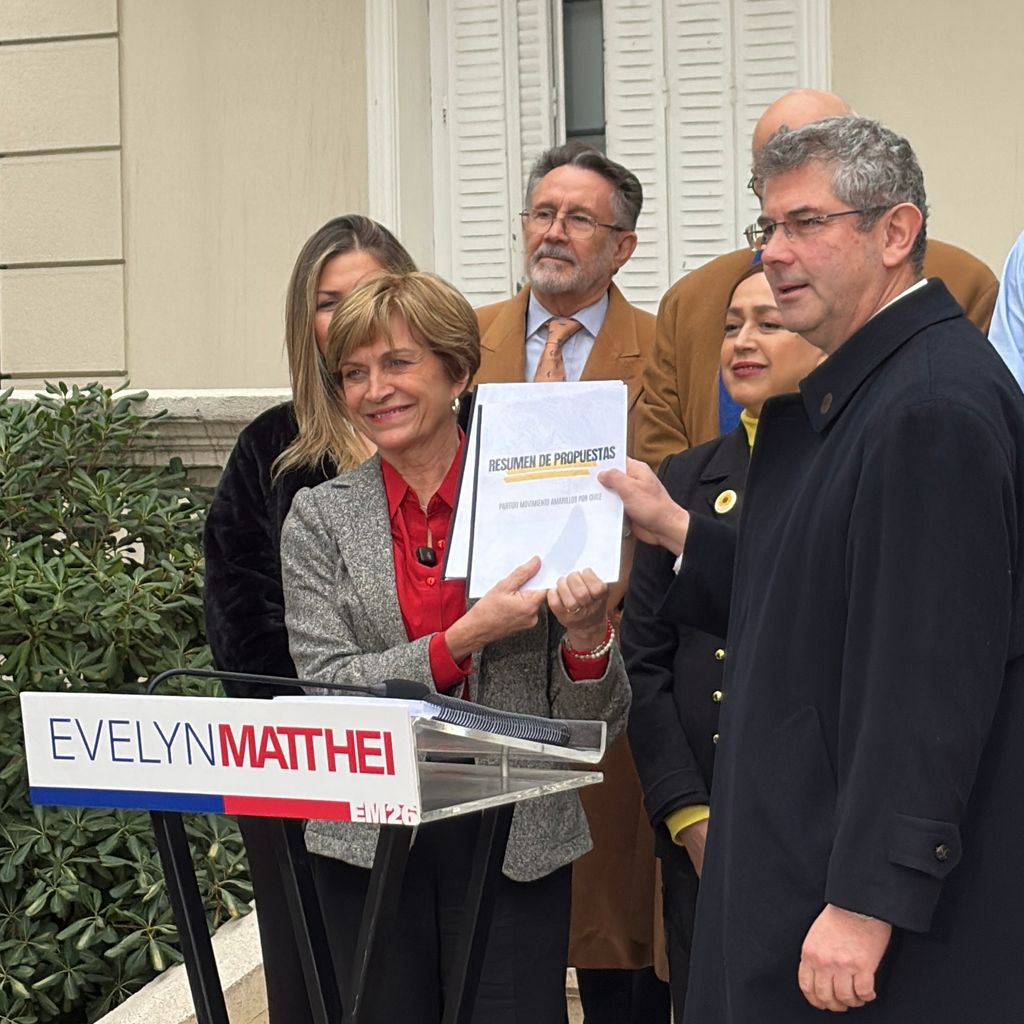 mattheiamarillos mattheiamarillos