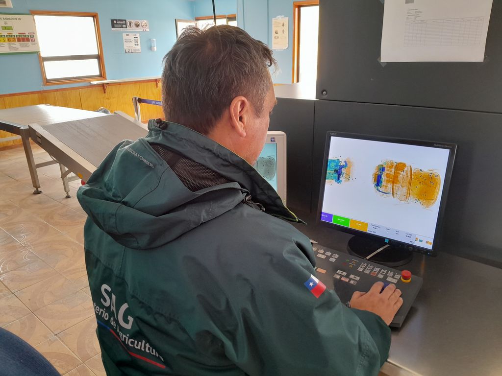 sagmagallanesgore sagmagallanesgore