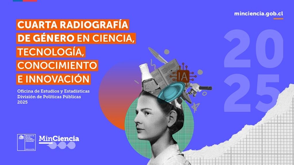 Gráfica Radiografía Gráfica Radiografía