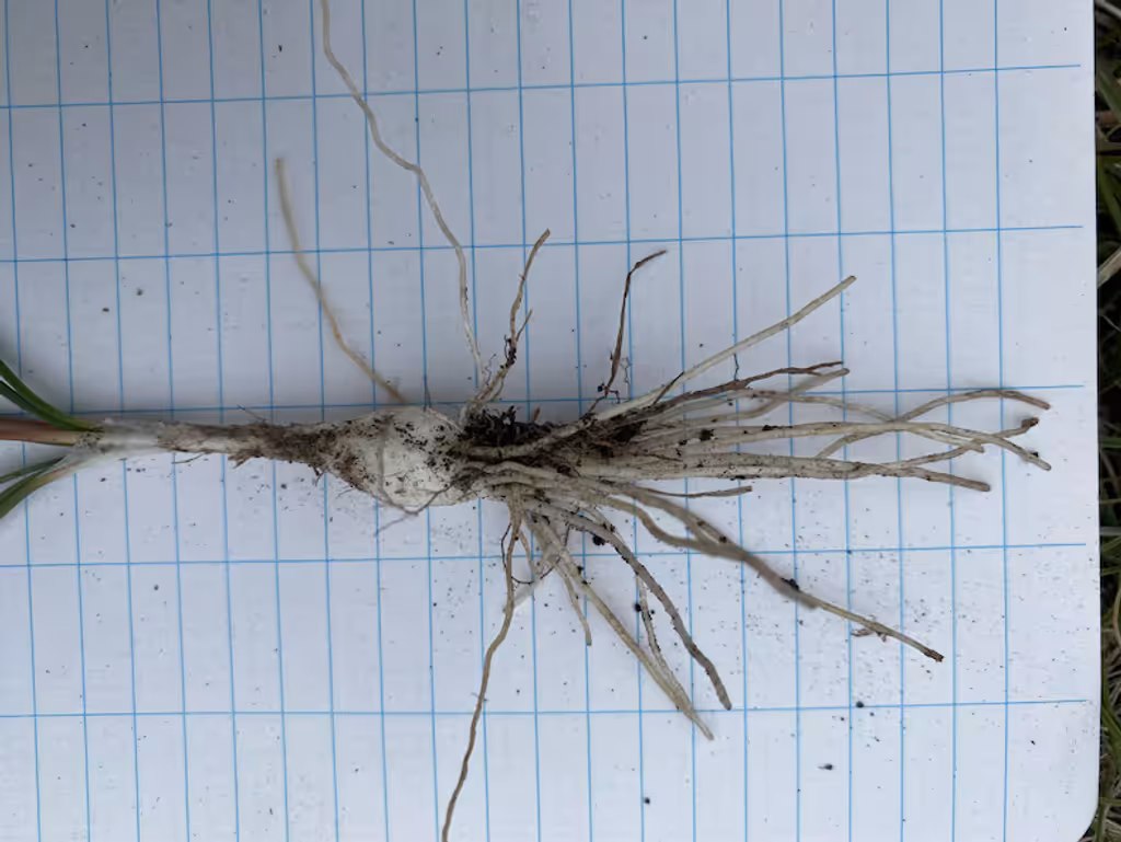 PNK3PZCKSJCN7CL5OA67EITWGA PNK3PZCKSJCN7CL5OA67EITWGA