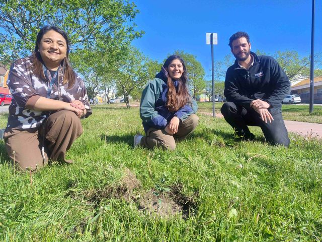 Plantación simbólica en Punta Arenas