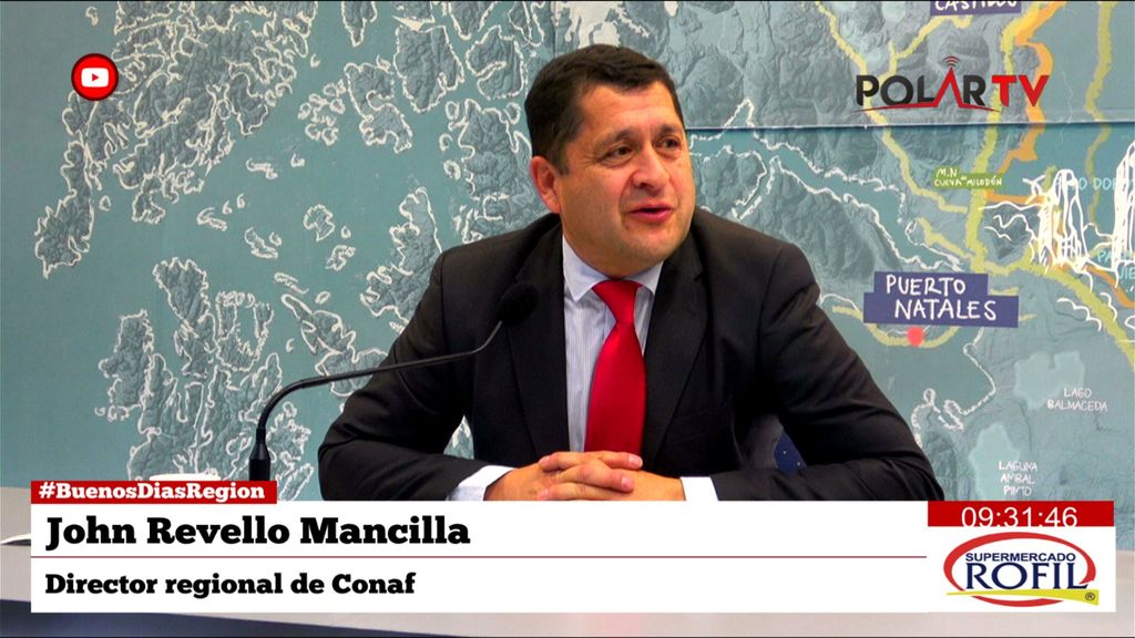 dirconafmagallanes dirconafmagallanes