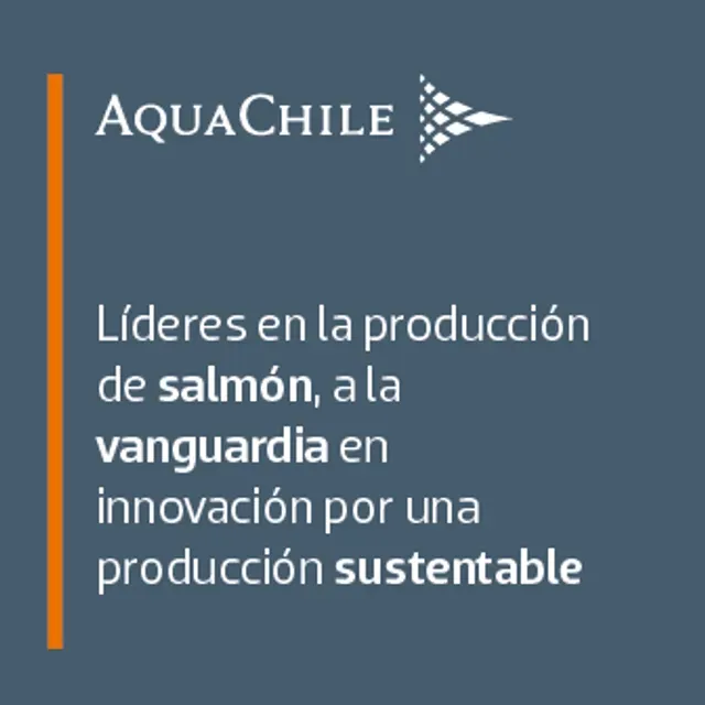 AquaChile banner AquaChile banner