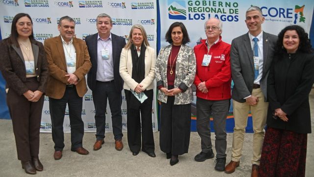 Alcaldes Magallanes