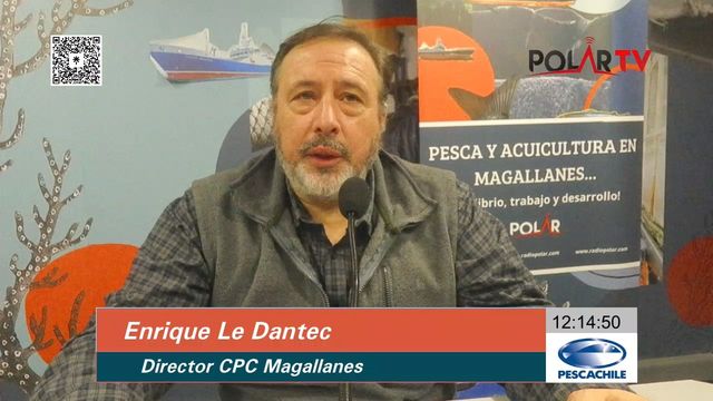 directorcpcmagallanes