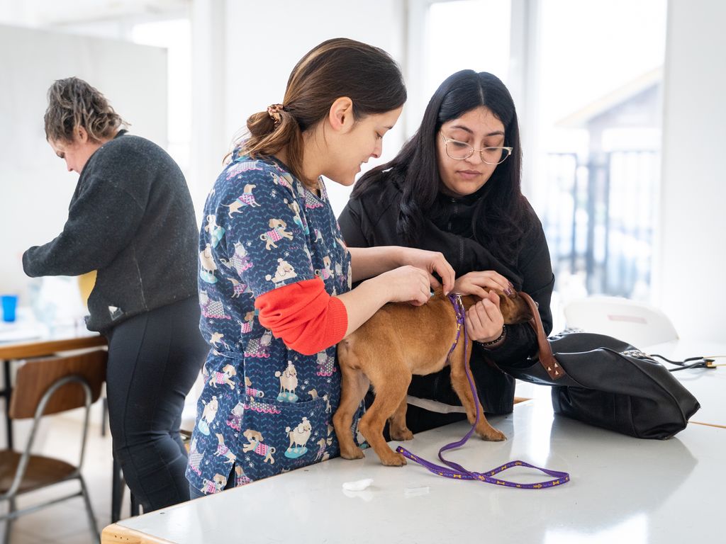 454908534_539501708411357_4552301753747450988_n 454908534_539501708411357_4552301753747450988_n