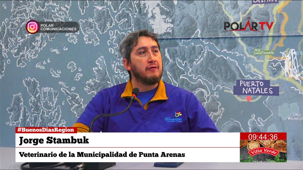 Jorge Stambuk, Veterinario