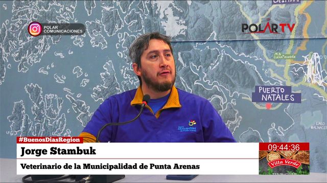 Jorge Stambuk, Veterinario Jorge Stambuk, Veterinario