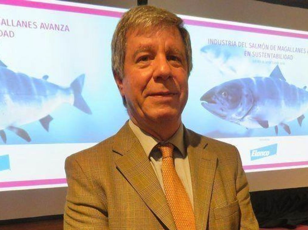 gerente-nova-austral gerente-nova-austral