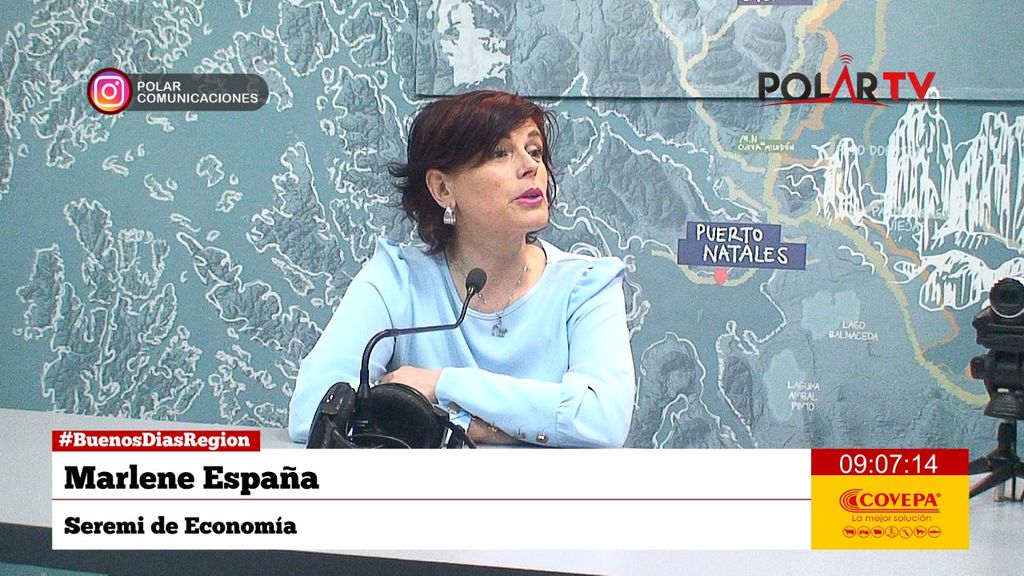 seremieconomiamagallanes seremieconomiamagallanes