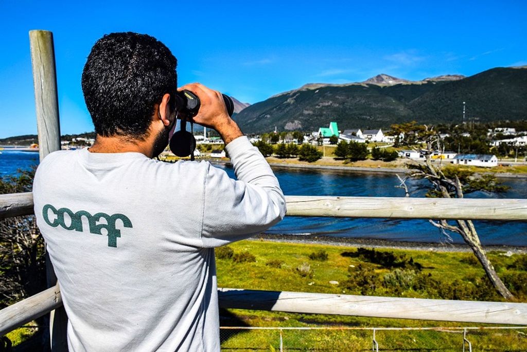 PHOTO-2024-10-11-18-24-21 PHOTO-2024-10-11-18-24-21