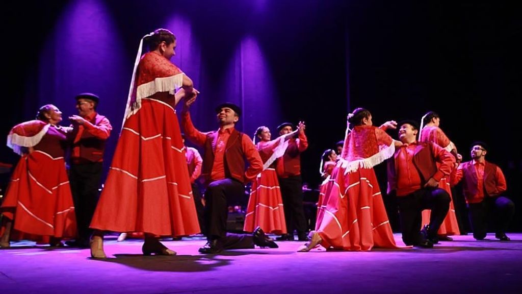 Foto Brisa Austral adulto Foto Brisa Austral adulto