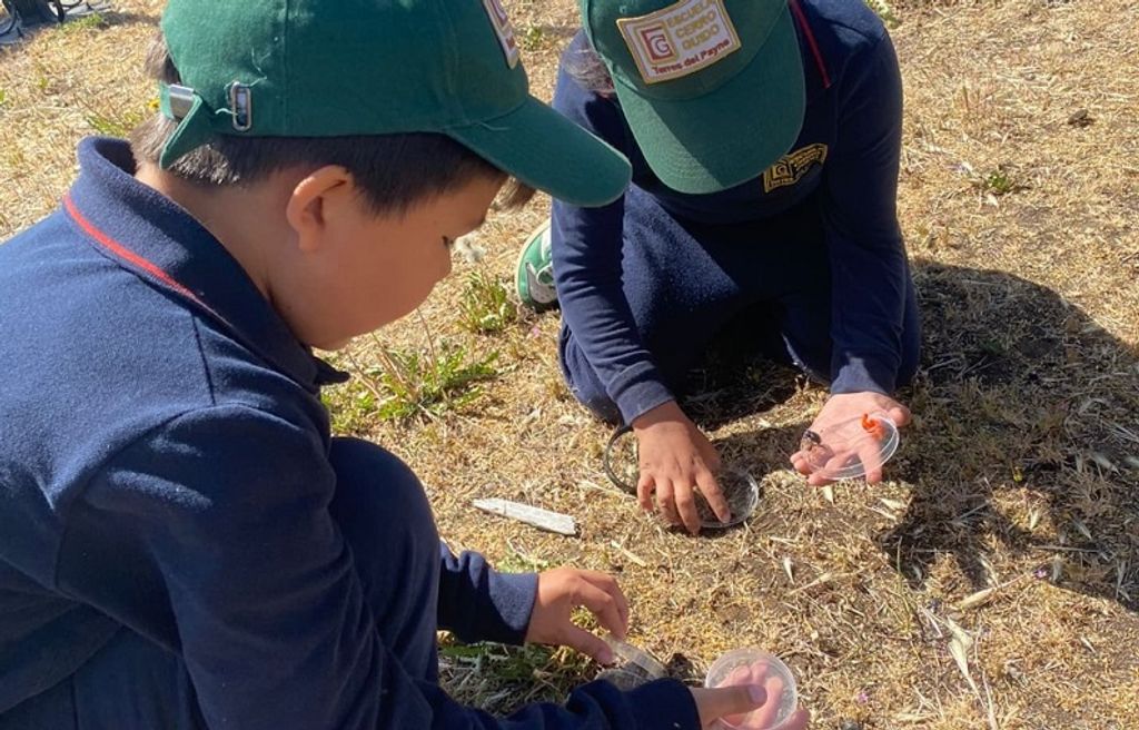 foto 2 taller cerro guido foto 2 taller cerro guido