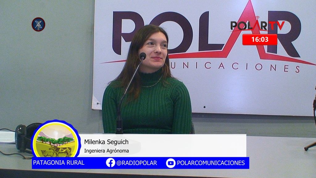 Imagen de WhatsApp 2024-07-26 a las 16 Imagen de WhatsApp 2024-07-26 a las 16