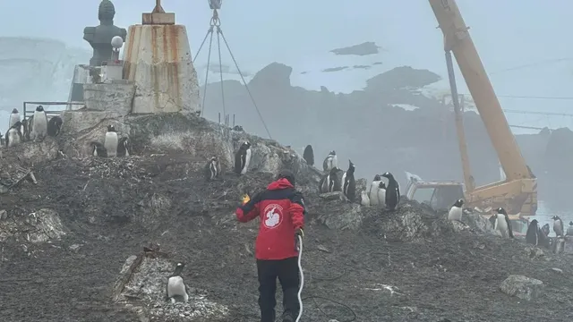 IGMantartica IGMantartica