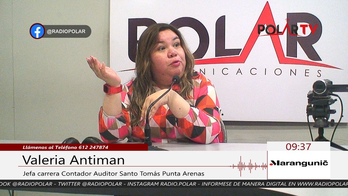 ESTUDIANTES DE CONTADOR AUDITOR DE SANTO TOMÁS APOYAN AL SII EN LA ...