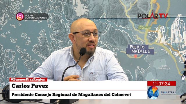 colmevetmagallanes colmevetmagallanes