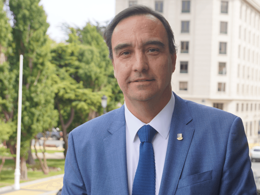 flies19_ds flies19_ds