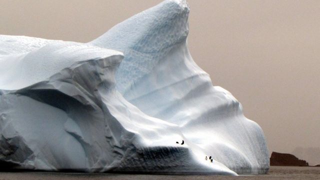 chileantartica chileantartica