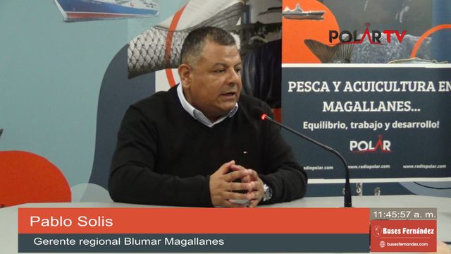 blumarmagallanes blumarmagallanes